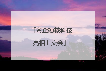 粤企硬核科技亮相上交会