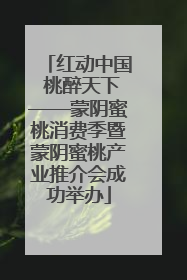 红动中国 桃醉天下——蒙阴蜜桃消费季暨蒙阴蜜桃产业推介会成功举办