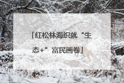 红松林海织就“生态+”富民画卷