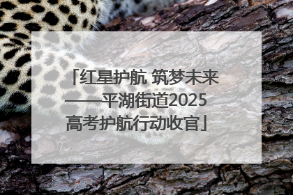 红星护航 筑梦未来——平湖街道2025高考护航行动收官