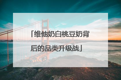 维他奶白桃豆奶背后的品类升级战