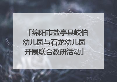 绵阳市盐亭县岐伯幼儿园与石龙幼儿园开展联合教研活动