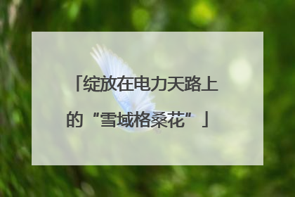 绽放在电力天路上的“雪域格桑花”