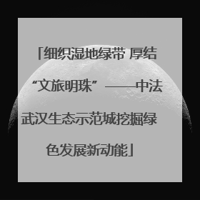 细织湿地绿带 厚结“文旅明珠”——中法武汉生态示范城挖掘绿色发展新动能