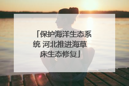 保护海洋生态系统 河北推进海草床生态修复