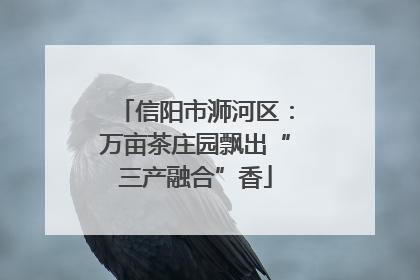 信阳市浉河区：万亩茶庄园飘出“三产融合”香