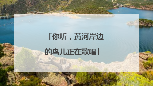 你听，黄河岸边的鸟儿正在歌唱