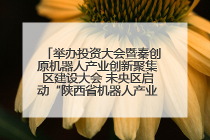 举办投资大会暨秦创原机器人产业创新聚集区建设大会 未央区启动“陕西省机器人产业聚集区”建设
