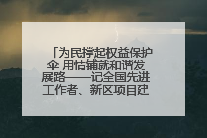 为民撑起权益保护伞 用情铺就和谐发展路——记全国先进工作者、新区项目建设中心干部卢小勇