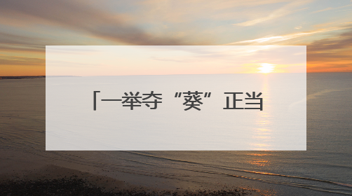 一举夺“葵”正当时——有一种叫云南的生活之365天