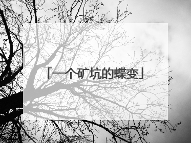 一个矿坑的蝶变