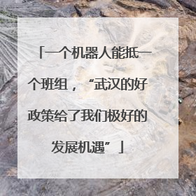 一个机器人能抵一个班组，“武汉的好政策给了我们极好的发展机遇”