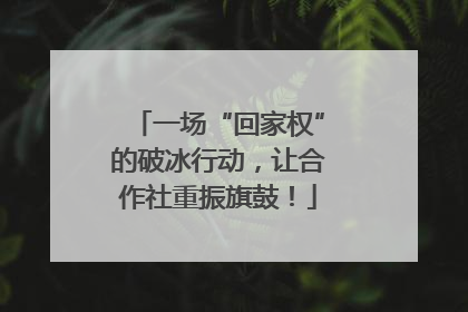 一场“回家权”的破冰行动，让合作社重振旗鼓！