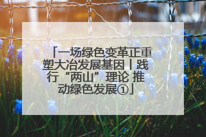 一场绿色变革正重塑大冶发展基因丨践行“两山”理论 推动绿色发展①
