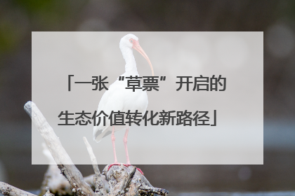 一张“草票”开启的生态价值转化新路径