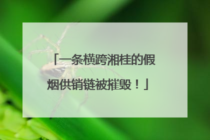 一条横跨湘桂的假烟供销链被摧毁！