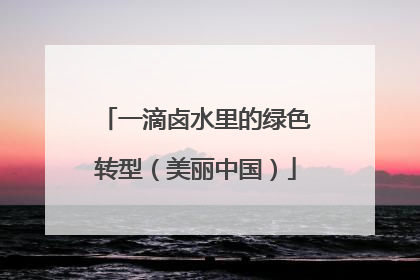 一滴卤水里的绿色转型（美丽中国）