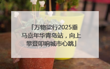 万物梁行2025垂马嘉年华青岛站，向上攀登叩响城市心跳