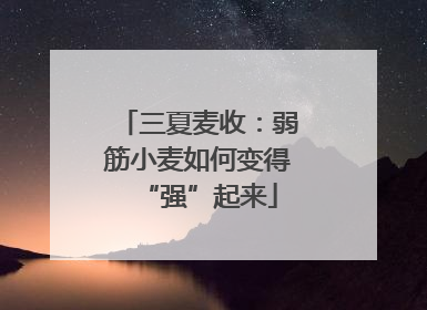 三夏麦收：弱筋小麦如何变得“强”起来