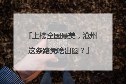 上榜全国最美，沧州这条路凭啥出圈？