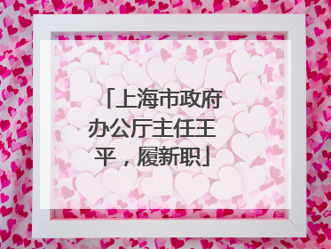 上海市政府办公厅主任王平，履新职