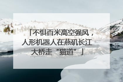 不惧百米高空强风，人形机器人在燕矶长江大桥走“猫道”