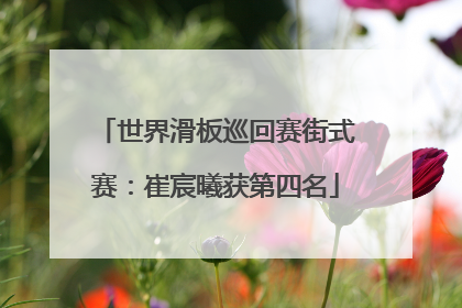 世界滑板巡回赛街式赛：崔宸曦获第四名
