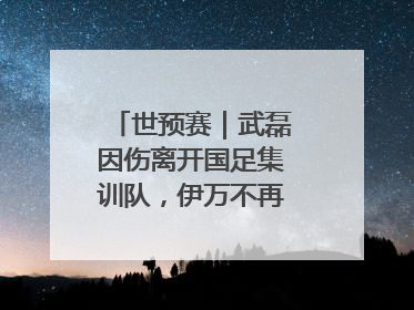世预赛｜武磊因伤离开国足集训队，伊万不再补招顶替球员