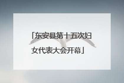 东安县第十五次妇女代表大会开幕