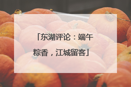 东湖评论：端午粽香，江城留客