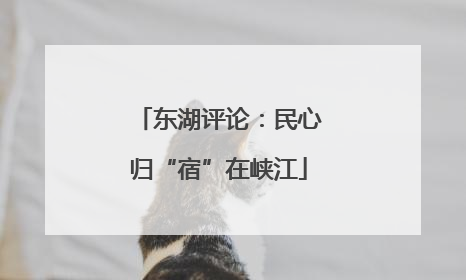东湖评论:民心归“宿”在峡江