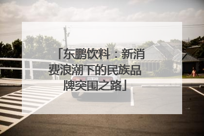 东鹏饮料：新消费浪潮下的民族品牌突围之路