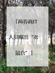 两券商IT人员曝出“老鼠仓”