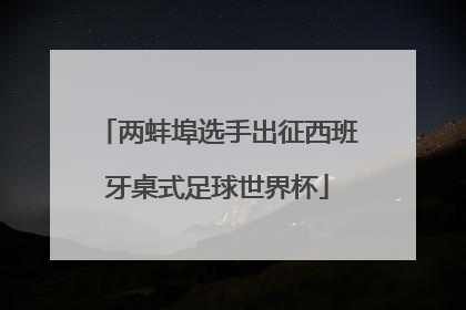 两蚌埠选手出征西班牙桌式足球世界杯