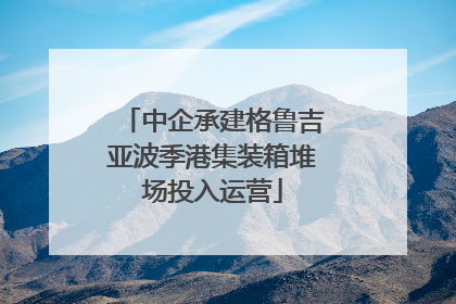 中企承建格鲁吉亚波季港集装箱堆场投入运营