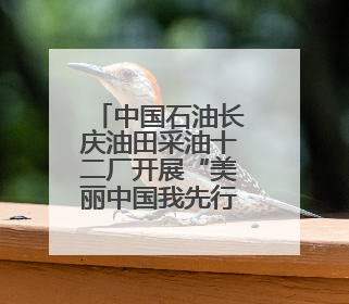 中国石油长庆油田采油十二厂开展“美丽中国我先行”六五环境日主题活动