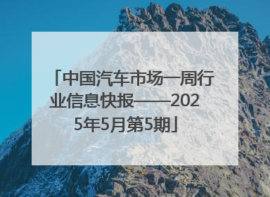 中国汽车市场一周行业信息快报——2025年5月第5期