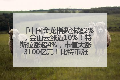 中国金龙指数涨超2%，金山云涨近10%！特斯拉涨超4%，市值大涨3100亿元！比特币涨回11万美元关口