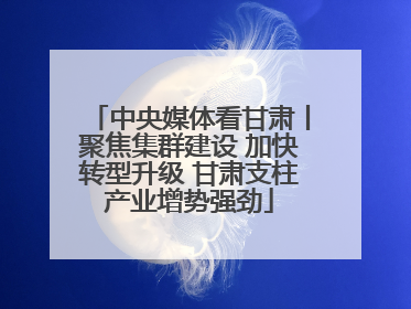 中央媒体看甘肃丨聚焦集群建设 加快转型升级 甘肃支柱产业增势强劲