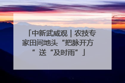 中新武威观｜农技专家田间地头“把脉开方”送“及时雨”