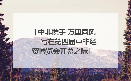 中非携手 万里同风——写在第四届中非经贸博览会开幕之际