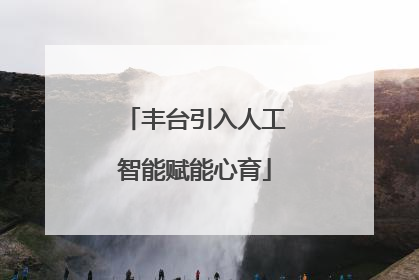 丰台引入人工智能赋能心育