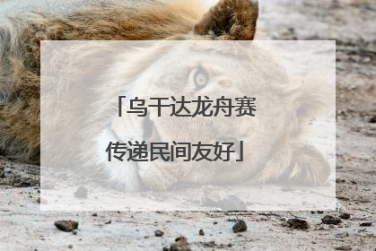 乌干达龙舟赛传递民间友好