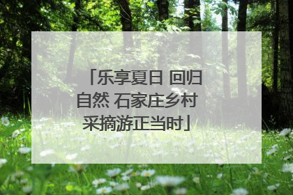 乐享夏日 回归自然 石家庄乡村采摘游正当时