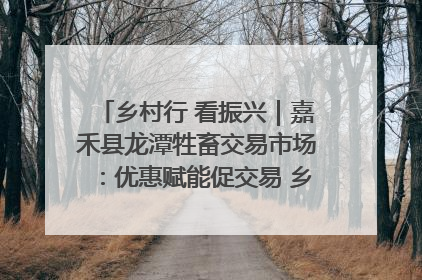 乡村行 看振兴｜嘉禾县龙潭牲畜交易市场：优惠赋能促交易 乡村振兴添动能