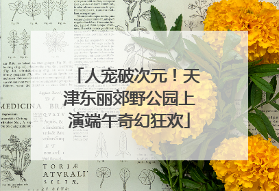 人宠破次元！天津东丽郊野公园上演端午奇幻狂欢