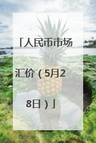 人民币市场汇价（5月28日）