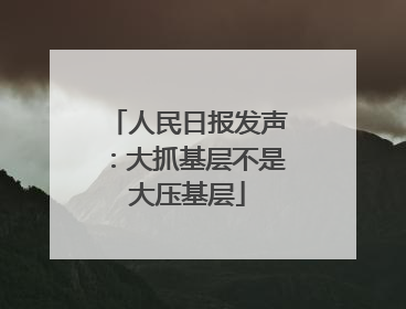 人民日报发声：大抓基层不是大压基层