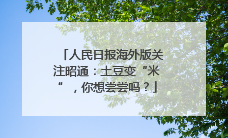 人民日报海外版关注昭通：土豆变“米”，你想尝尝吗？