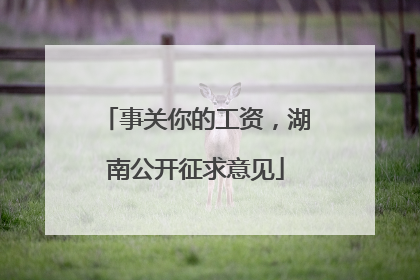 事关你的工资，湖南公开征求意见